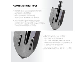 Штыковая лопата c ребрами жесткости ЗУБР ПРОФИ-5, ЛКО, без черенка - фото № 1